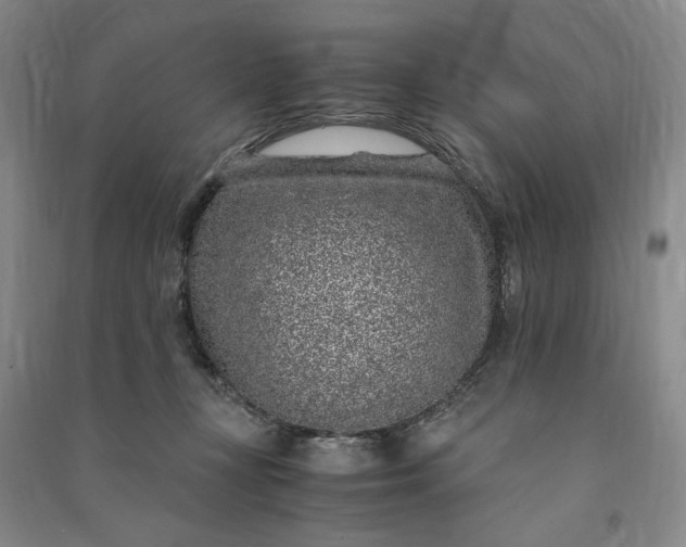 X0000091100367200708201526