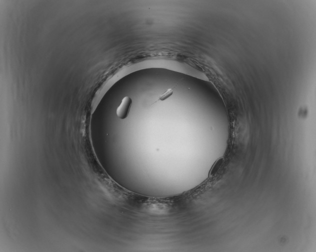 X0000091100368200708201526