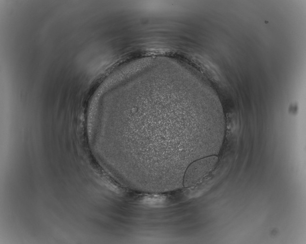 X0000091100369200708201526