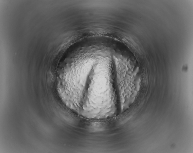 X0000091100371200708201526