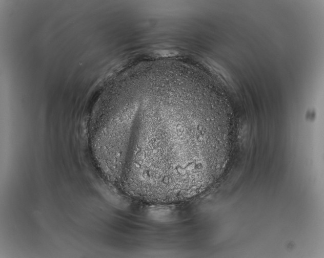 X0000091100373200708201526