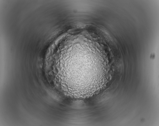 X0000091100374200708201526