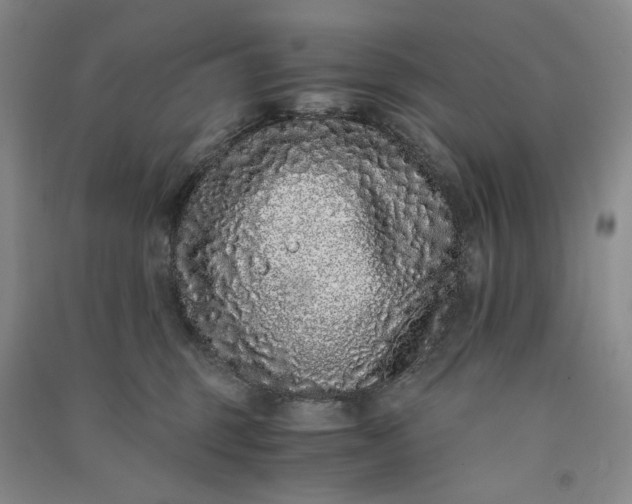 X0000091100375200708201526