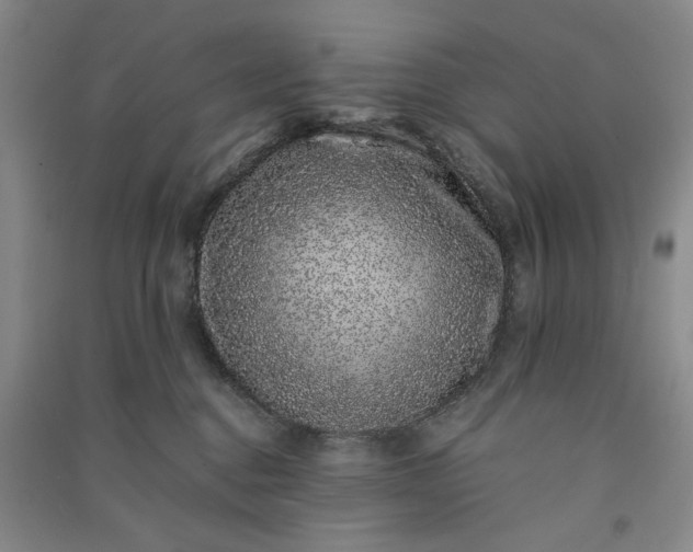 X0000091100376200708201527