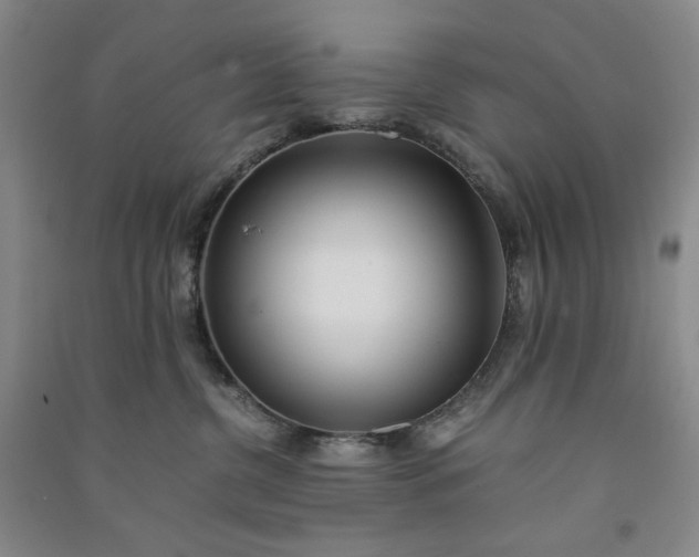 X0000091100380200708201527