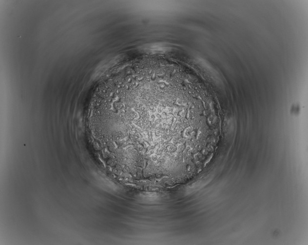 X0000091100381200708201527