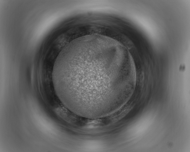 X0000091100382200708201527