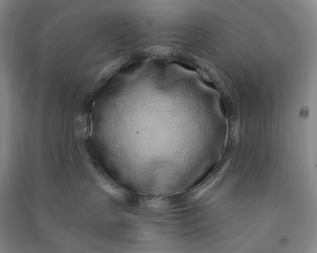 X0000091100383200708201527