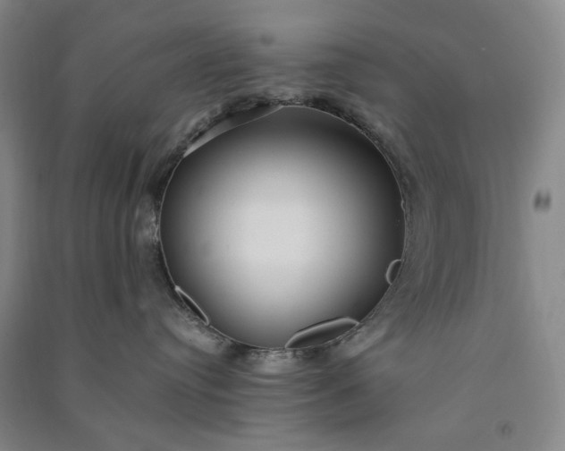 X0000091100384200708201527