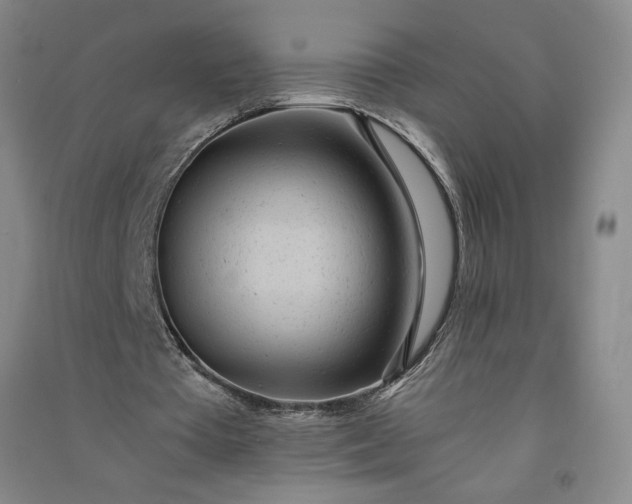 X0000091100385200708201526