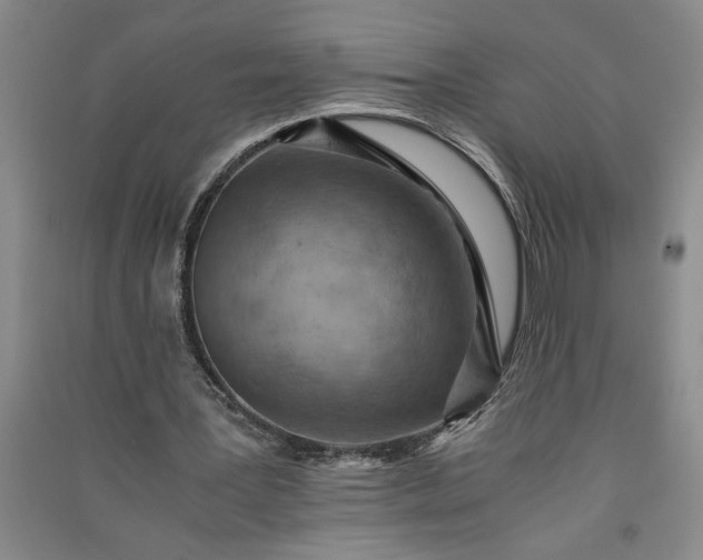 X0000091100387200708201526