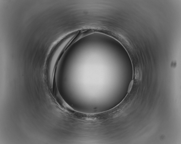 X0000091100388200708201526