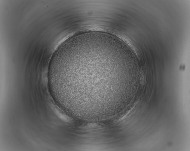 X0000091100390200708201526