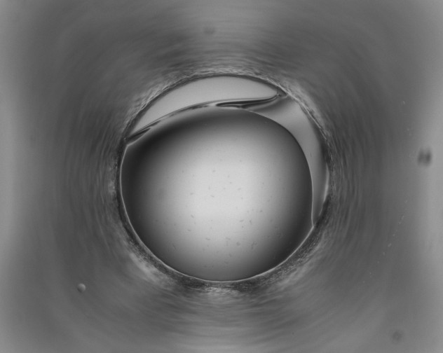 X0000091100393200708201526