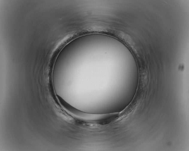 X0000091100395200708201526