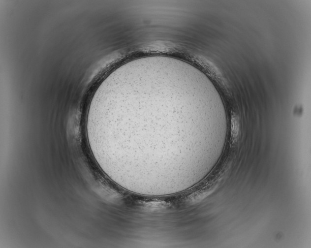 X0000091100396200708201526