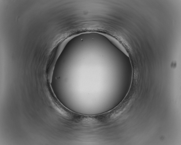 X0000091100397200708201526