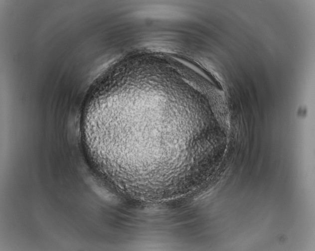 X0000091100398200708201526