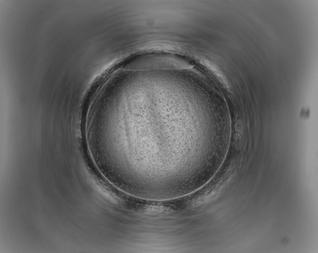 X0000091100399200708201526