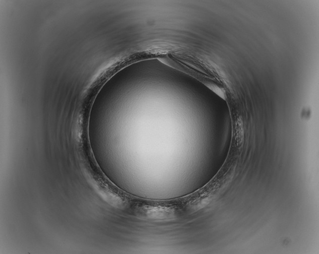 X0000091100400200708201526