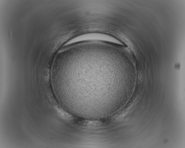 X0000091100401200708201526