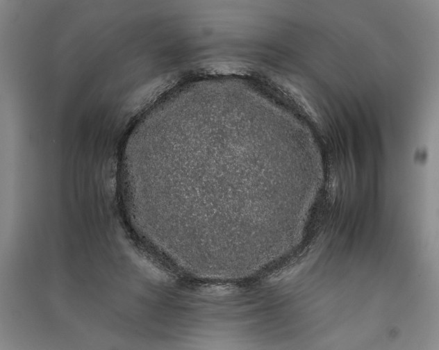 X0000091100402200708201526