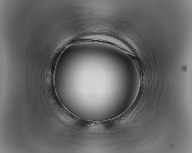 X0000091100403200708201526