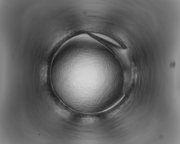 X0000091100404200708201526