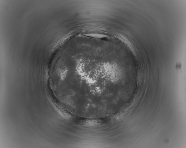 X0000091100405200708201525