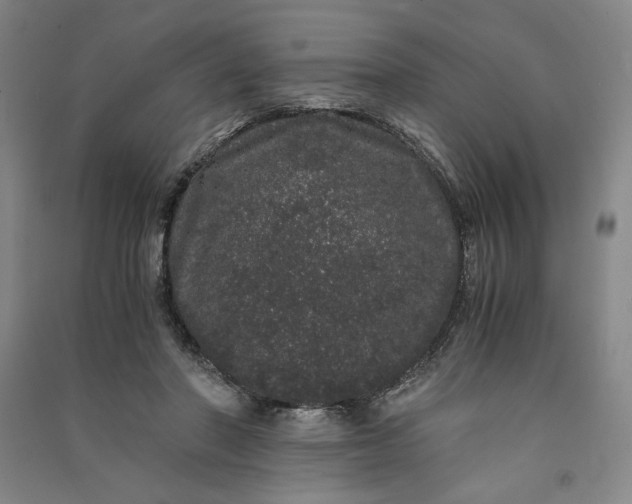 X0000091100406200708201525