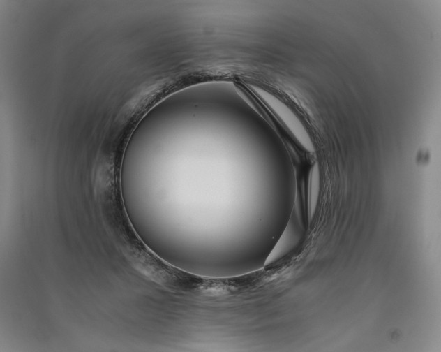 X0000091100407200708201525