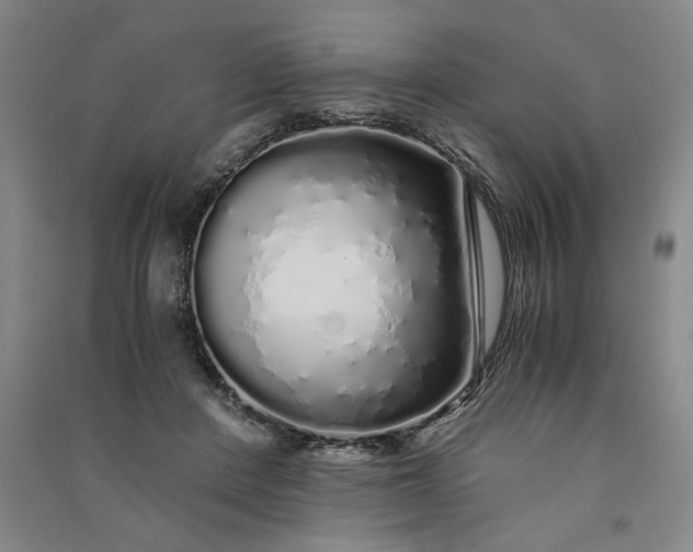 X0000091100408200708201525