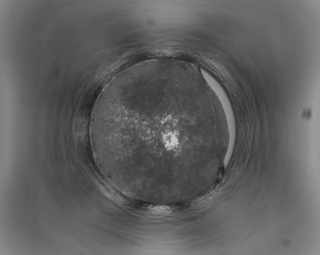 X0000091100409200708201525