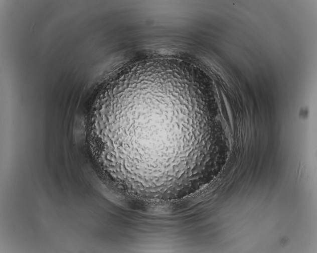 X0000091100410200708201525