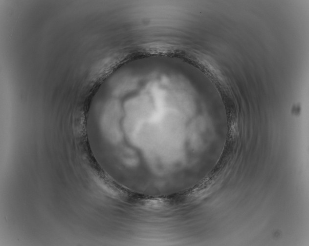 X0000091100411200708201525