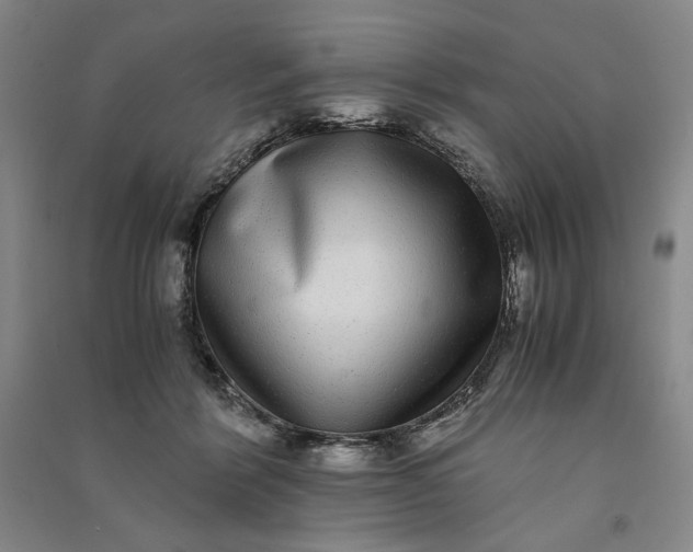 X0000091100412200708201525