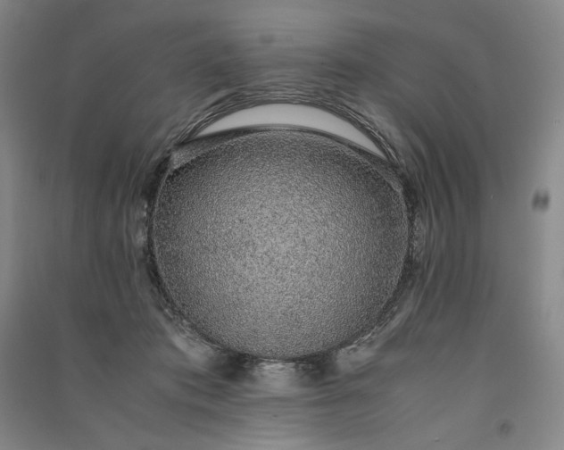 X0000091100413200708201525