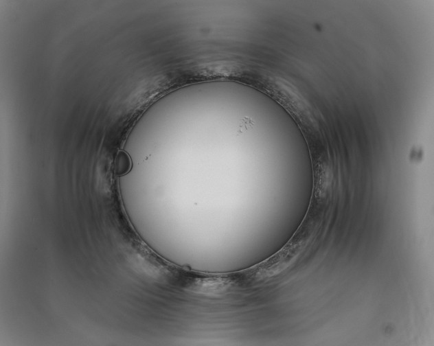 X0000091100414200708201525