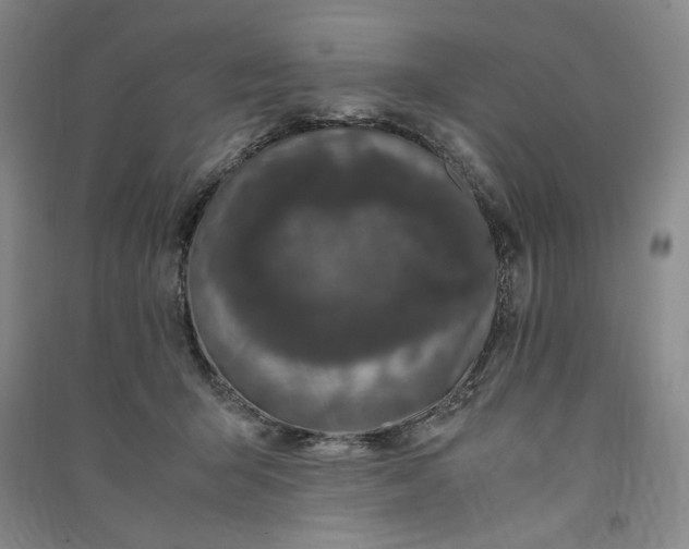 X0000091100415200708201525