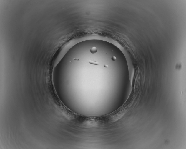 X0000091100416200708201525