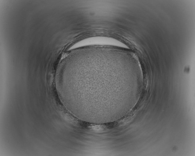 X0000091100417200708201525