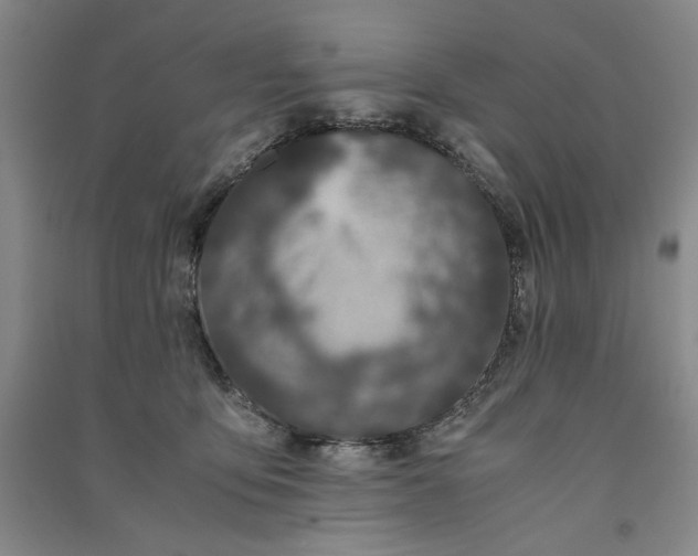 X0000091100419200708201525