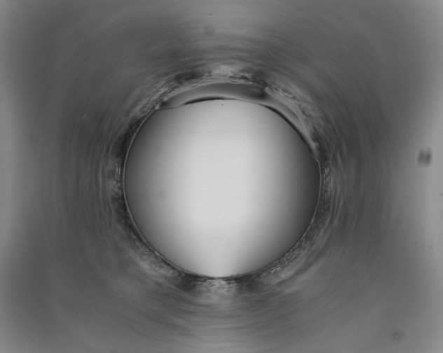 X0000091100421200708201525