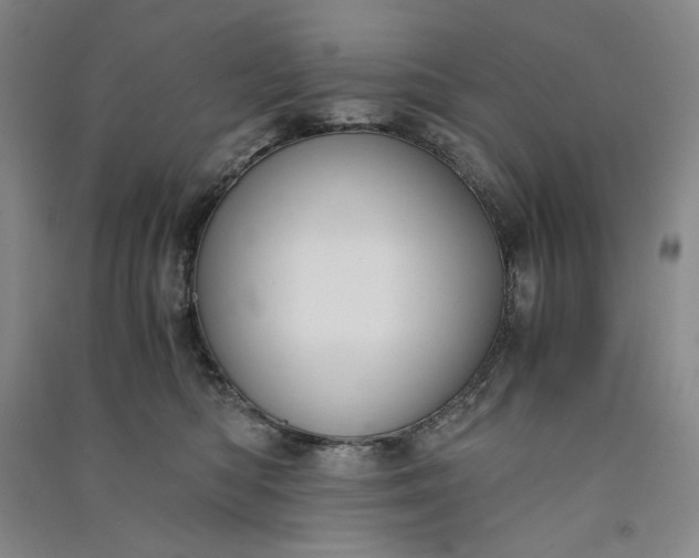 X0000091100422200708201525