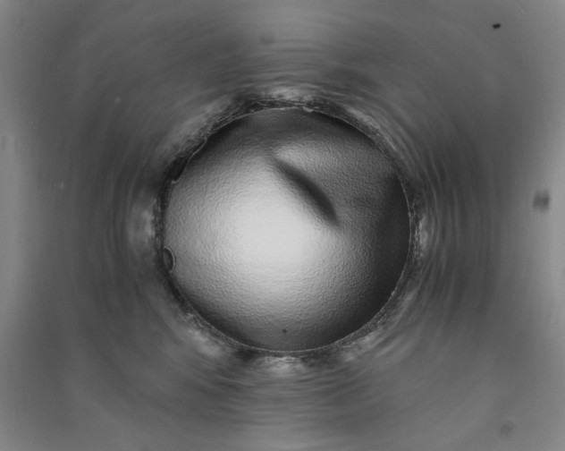 X0000091100424200708201525