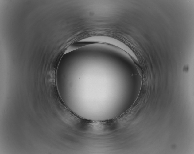 X0000091100425200708201525