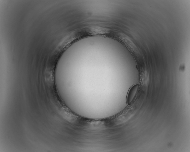 X0000091100426200708201525