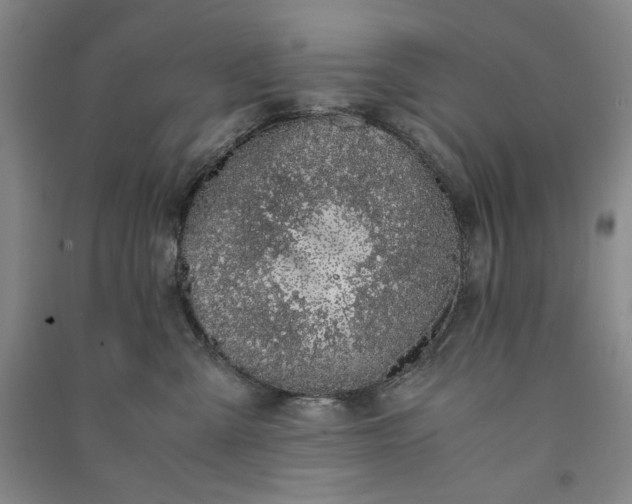 X0000091100427200708201525