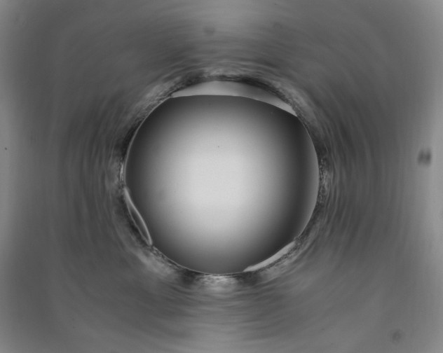 X0000091100429200708201525