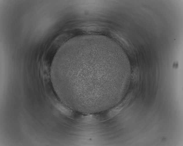 X0000091100430200708201525